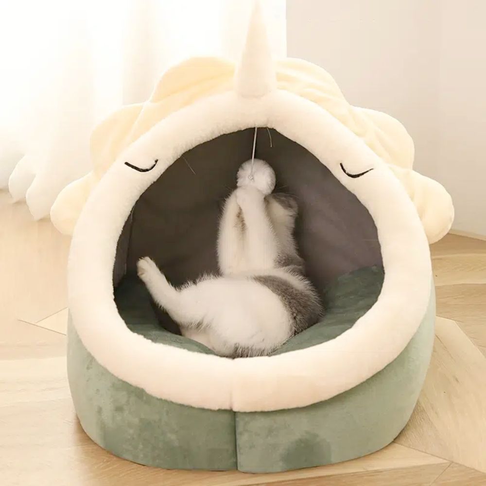 Waggi