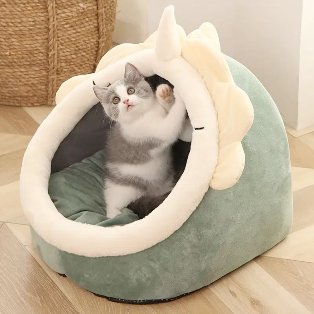 Waggi