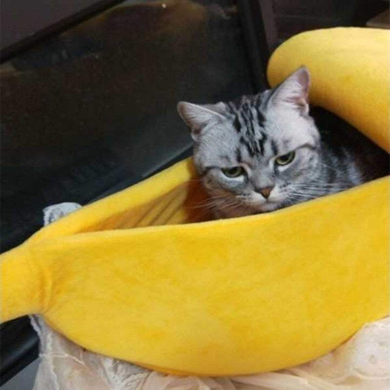 Waggi