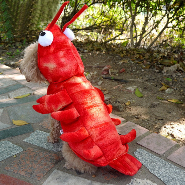 Waggi